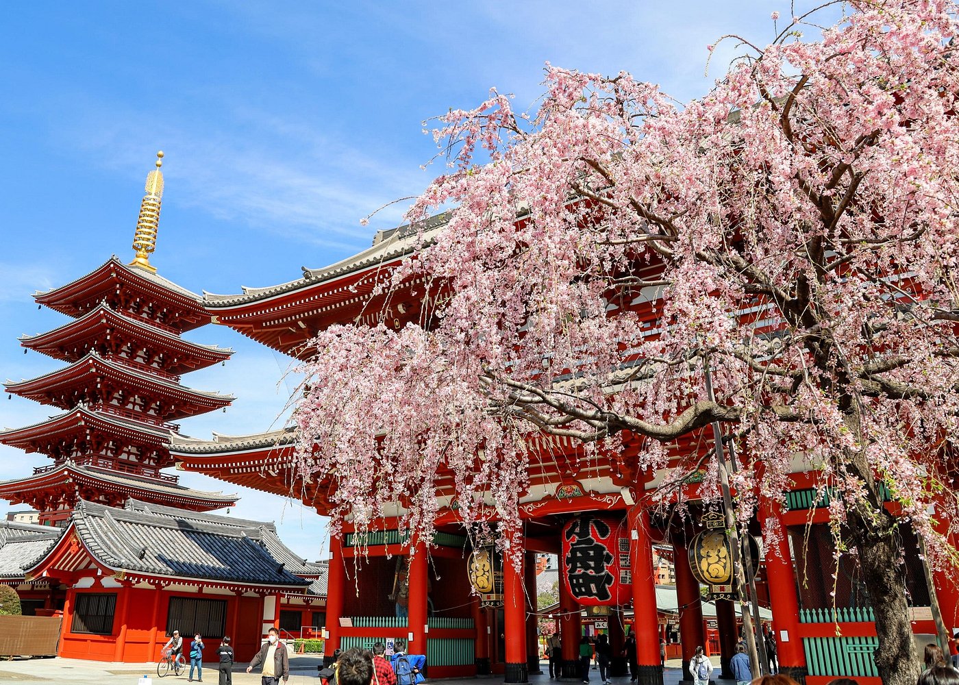 1-Day Tokyo Bus Tour Imperial Palace Skytree Asakusa