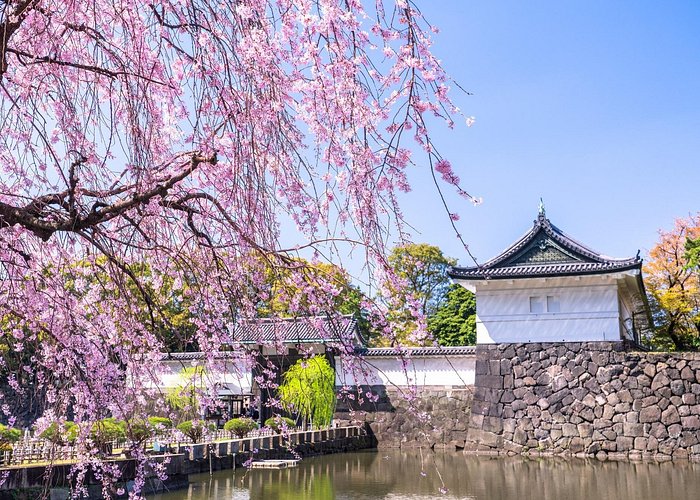 Tokyo Private Tour Imperial Palace East Gardens and Edo Castle Site