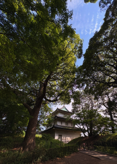 Tokyo Imperial Palace garden landscape