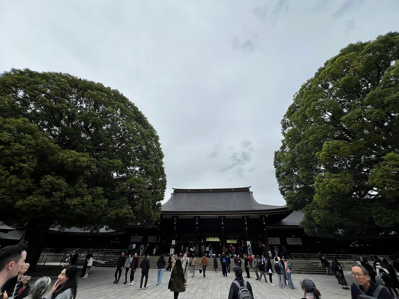 Tokyo 4-Hour Private Tour with Government Licensed Guide