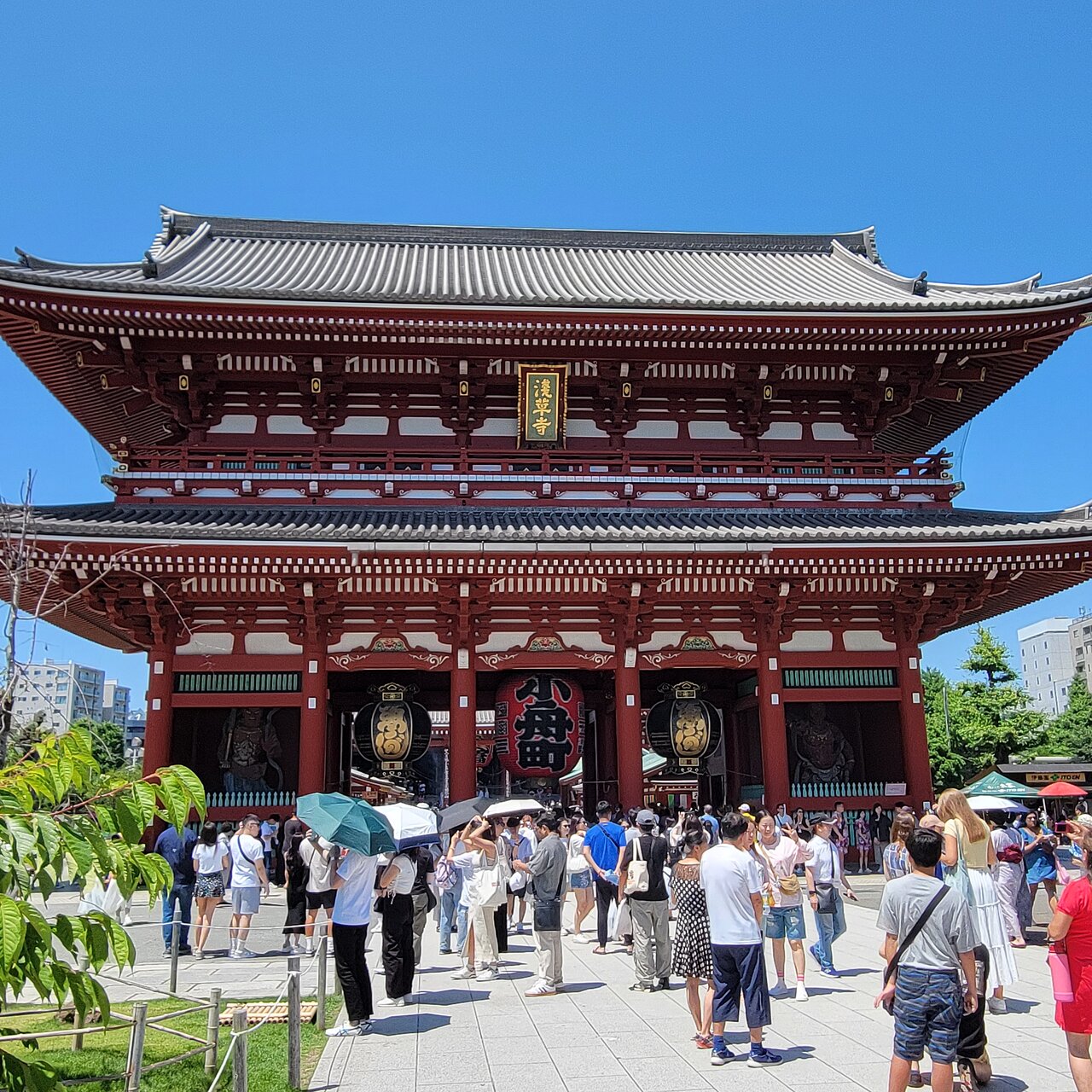 Tokyo 6-Hour Private Tour Government Licensed Guide Full Day