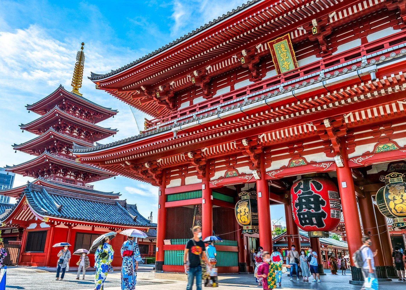 Tokyo Customized Private Tour Must See Places in 1 Day
