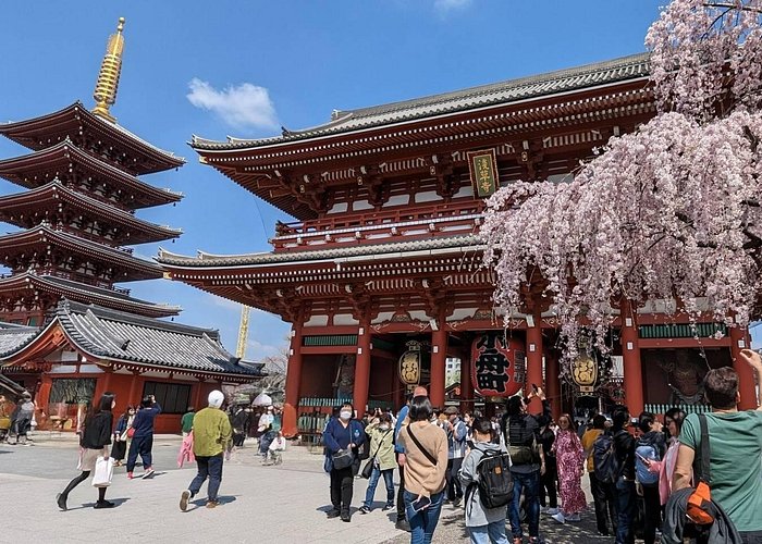 Tokyo Highlights Private Custom Tour Licensed Guide and Driver