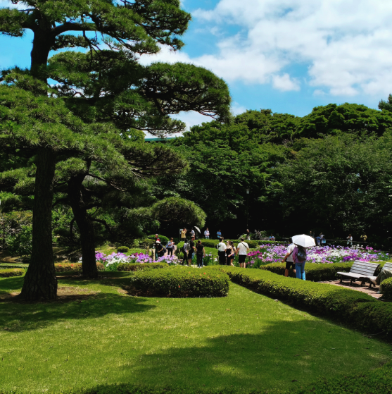 Imperial Palace East Garden and Edo Castle walking tour — Ninomaru Garden
