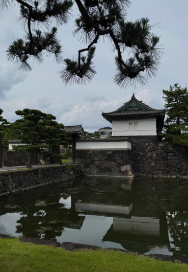 Imperial Palace vs Meiji Shrine comparison