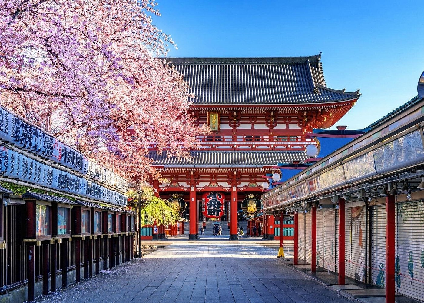 Private Customisable Tokyo Car Tour English Speaking Driver
