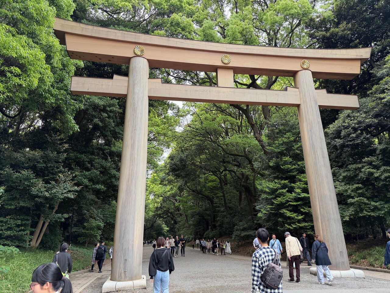 Tokyo Private Customized Walking Tour with Local Guide